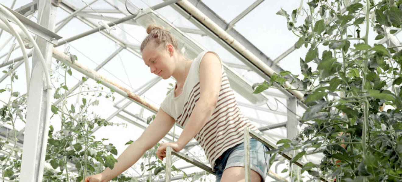 Freiwilligenarbeit im Eco Village