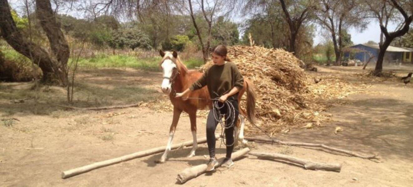 Volunteer Projekt in Lambayeque