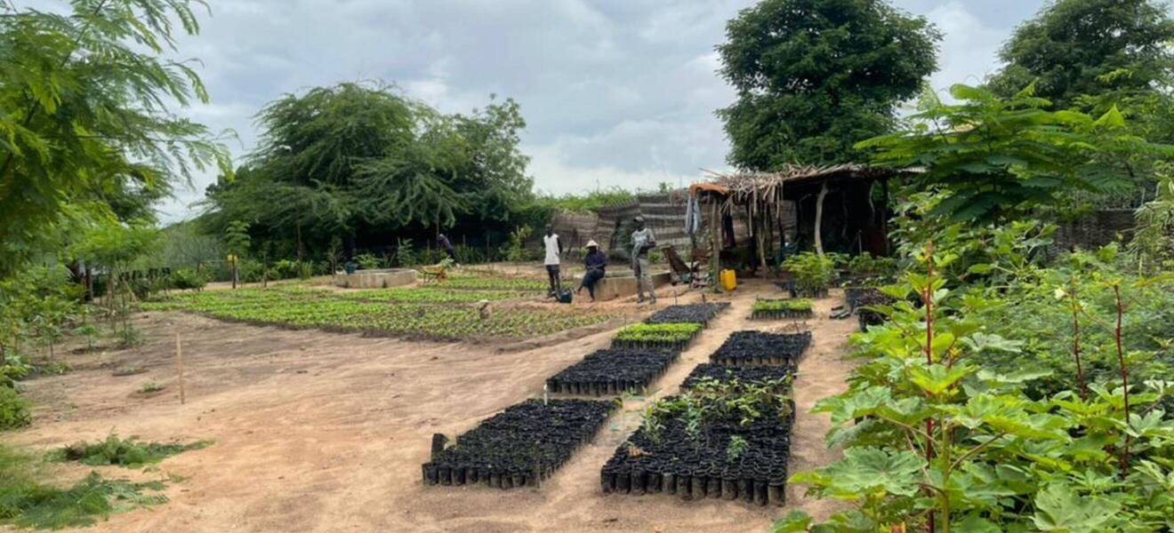 Freiwilligenprojekt in der ökologischen Landwirtschaft in Senegal