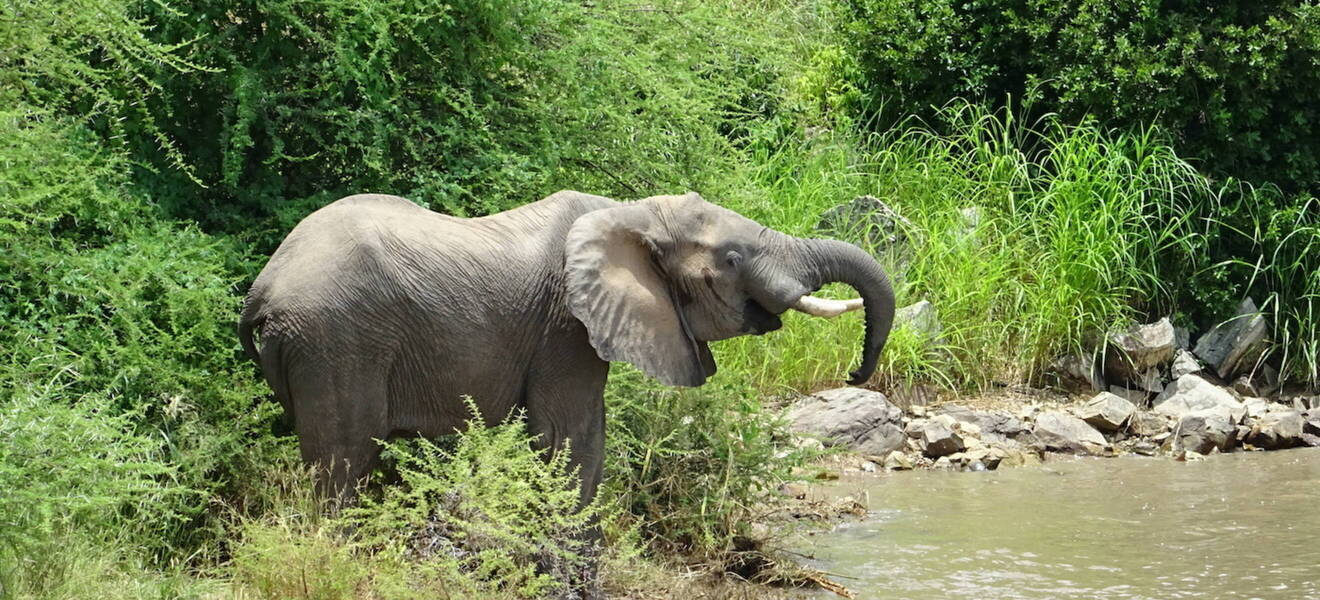 Vielseitige Möglichkeiten der Freizeitgestaltung auf Sansibar 