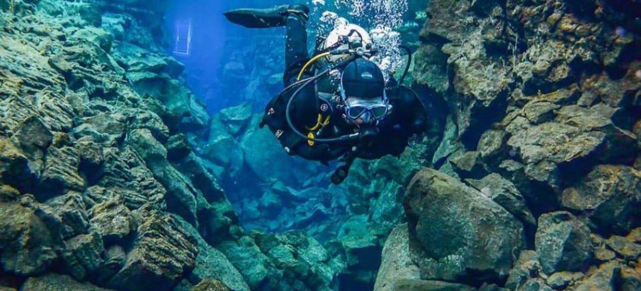 Taucher in Meeresschutzprojekt in Barcelona