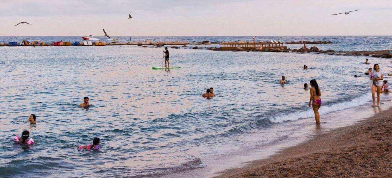 Freiwilligenarbeit in Barcelona