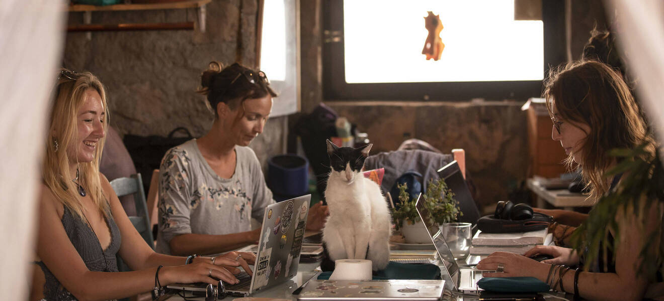 Orientierungsprogramm im Tierschutzprojekt auf Teneriffa