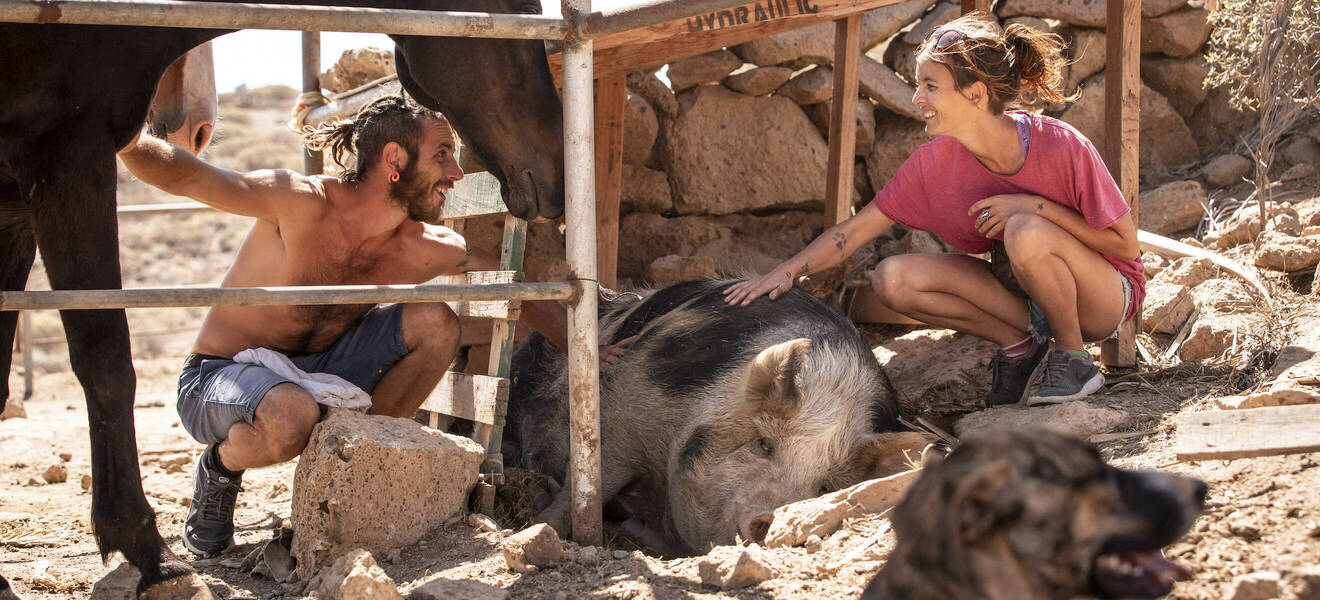 Projektbeginn im Tierschutzprojekt auf Teneriffa