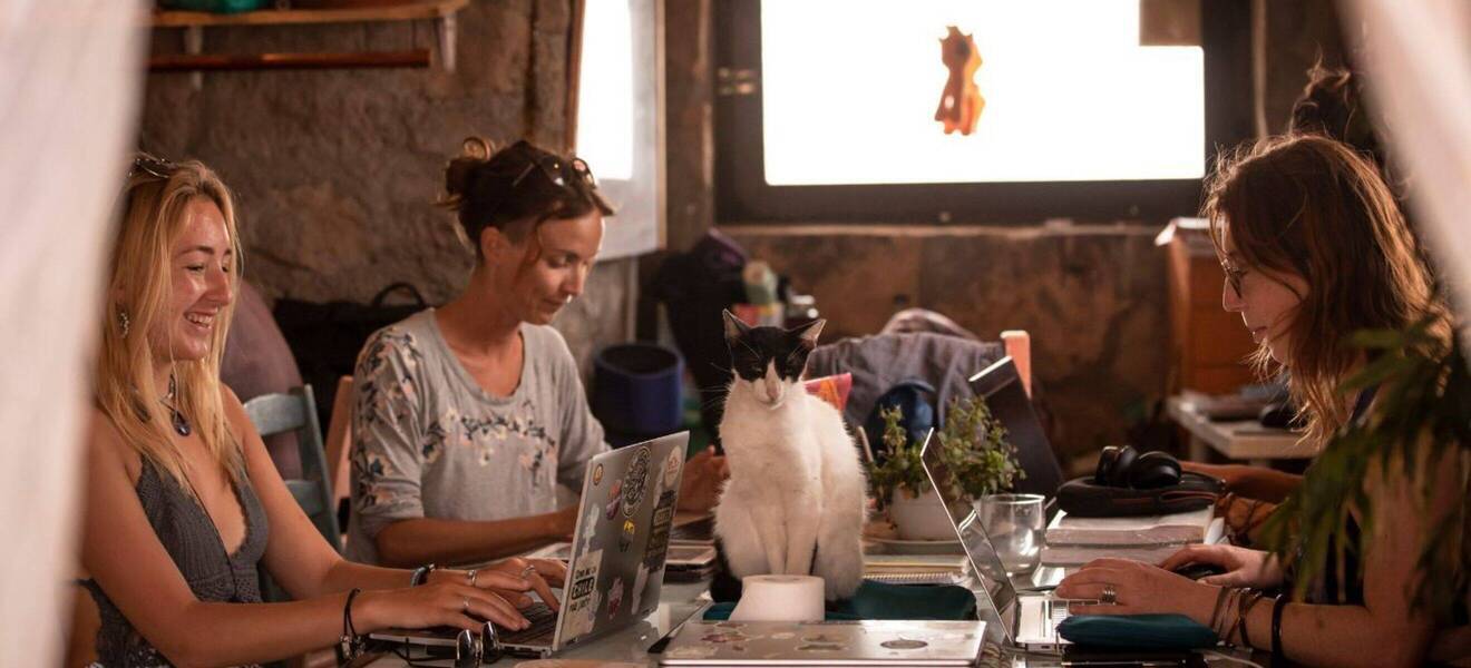 Gruppe beim Planen ihrer Reise