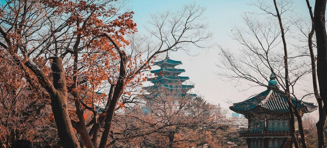 Freiwilligenarbeit in Südkorea 