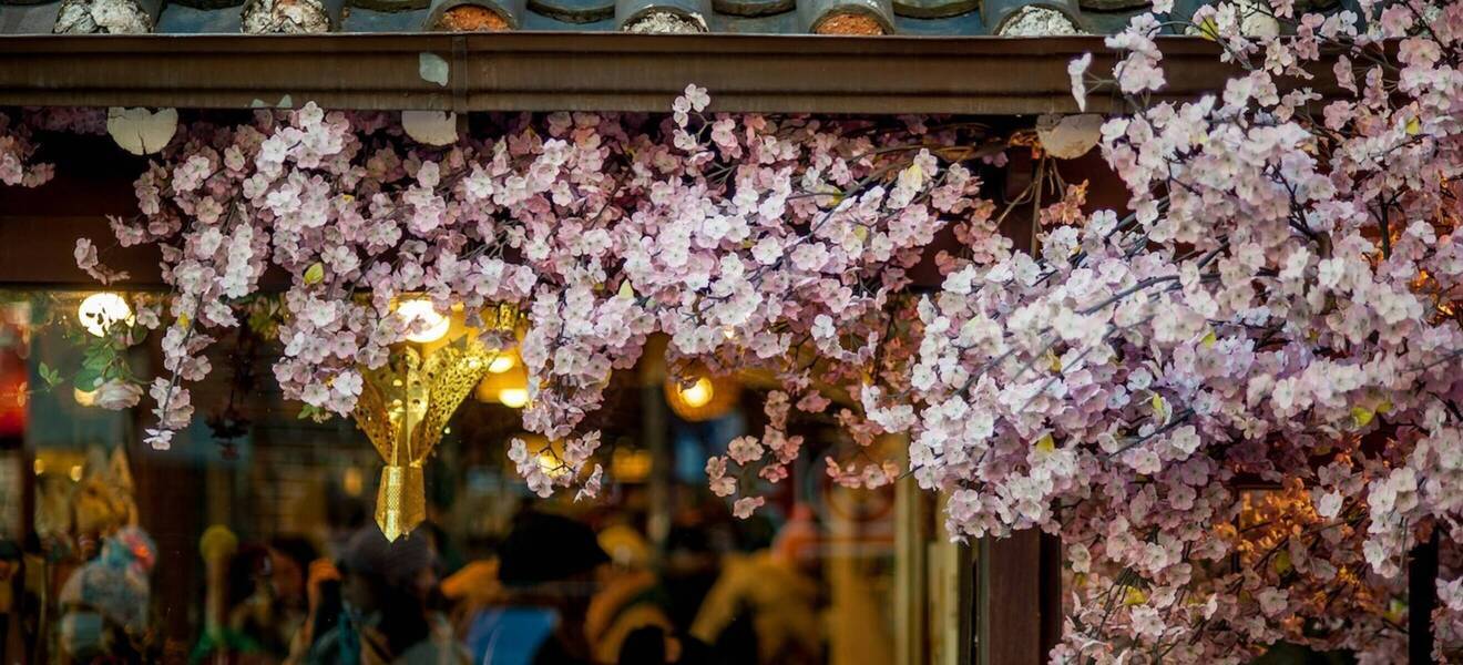 Praktikum in Südkorea