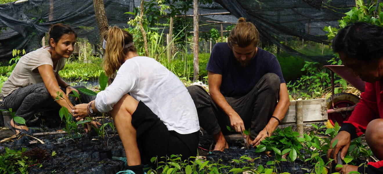 Volunteering in Indonesien