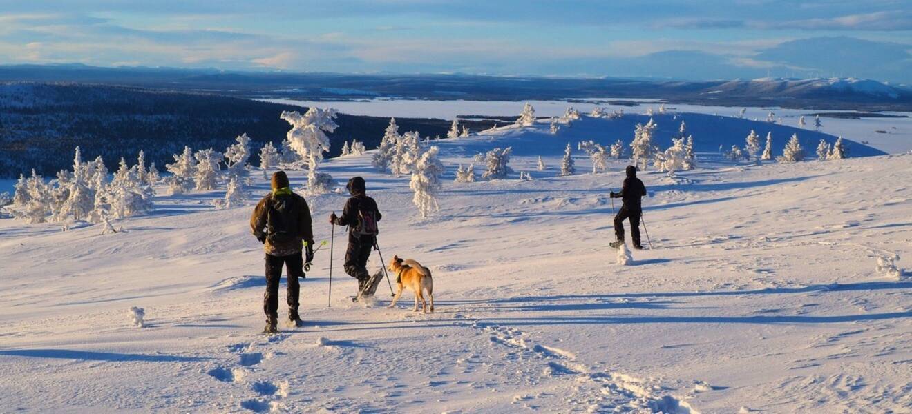 Gruppenreise in Schweden Natur