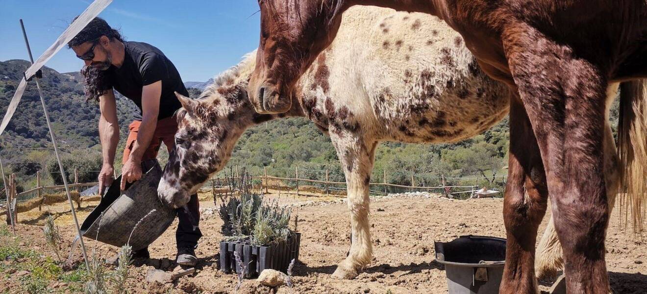 Gruppenreise Spanien Arbeit im Projekt