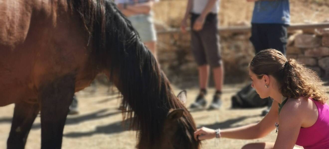 Gruppenreise Spanien Arbeit mit Pferden