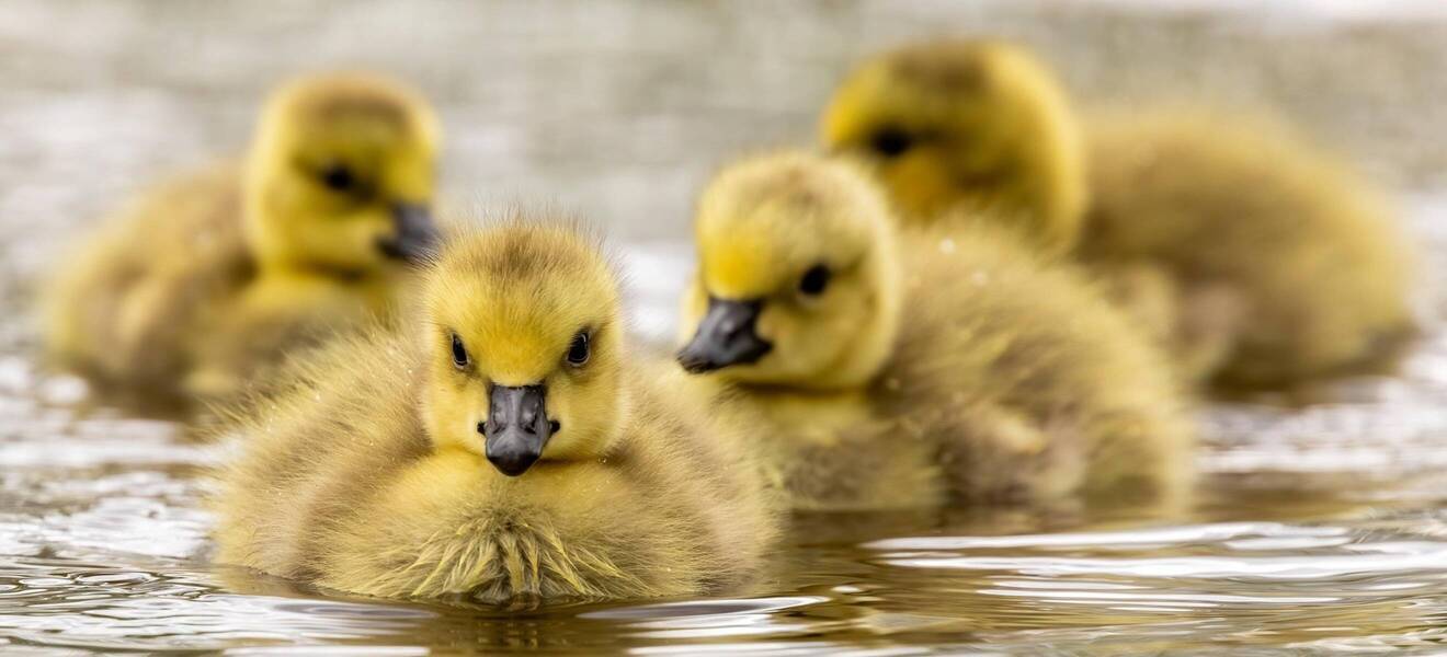 Dein erster Tag im Projekt in Kanada