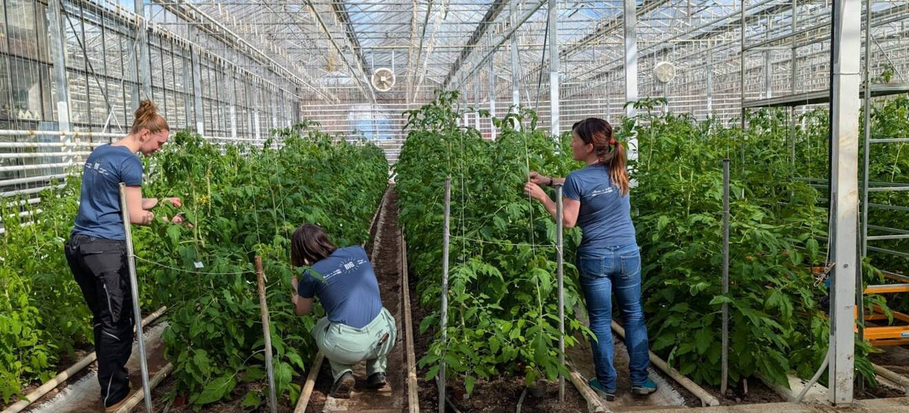 Volunteering im Eco Village 