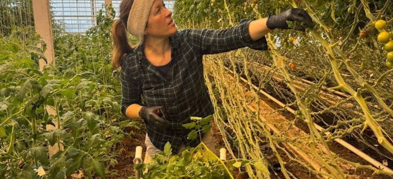 Freiwilligenarbeit im Eco Village