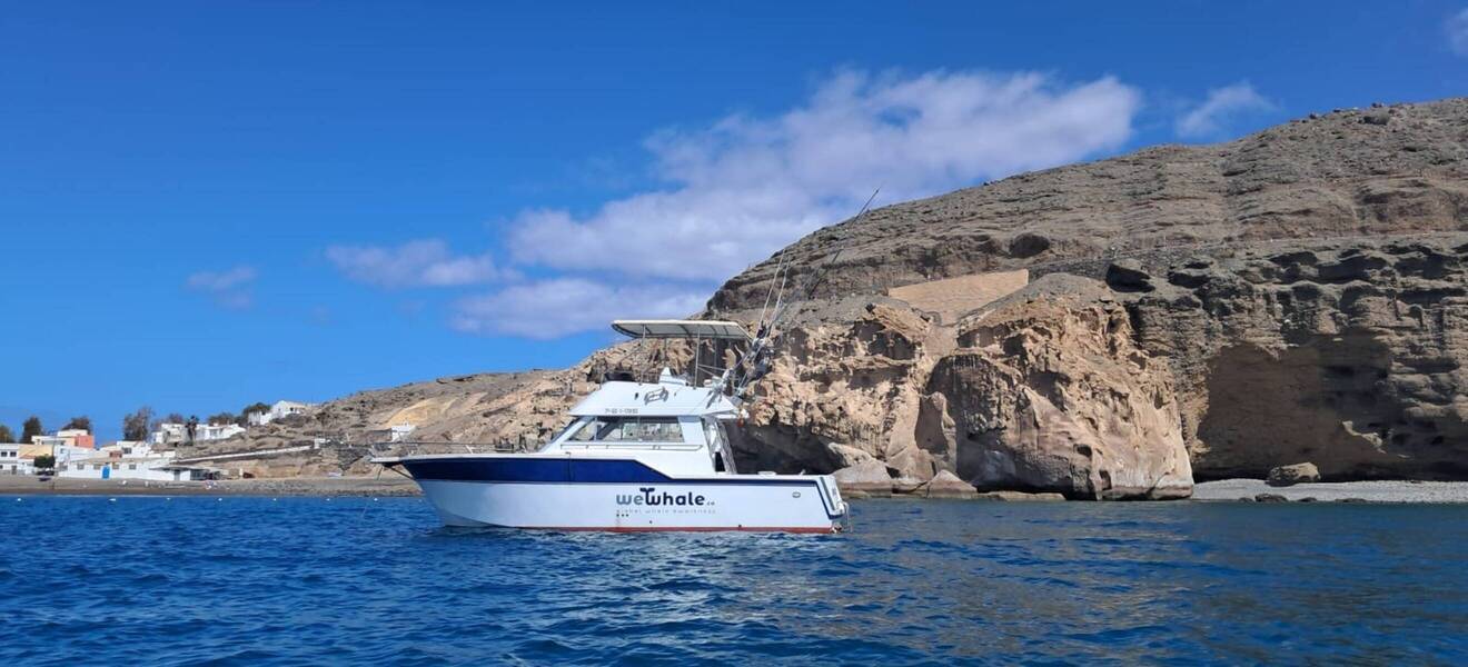 WeWhale Boot in Gran Canaria