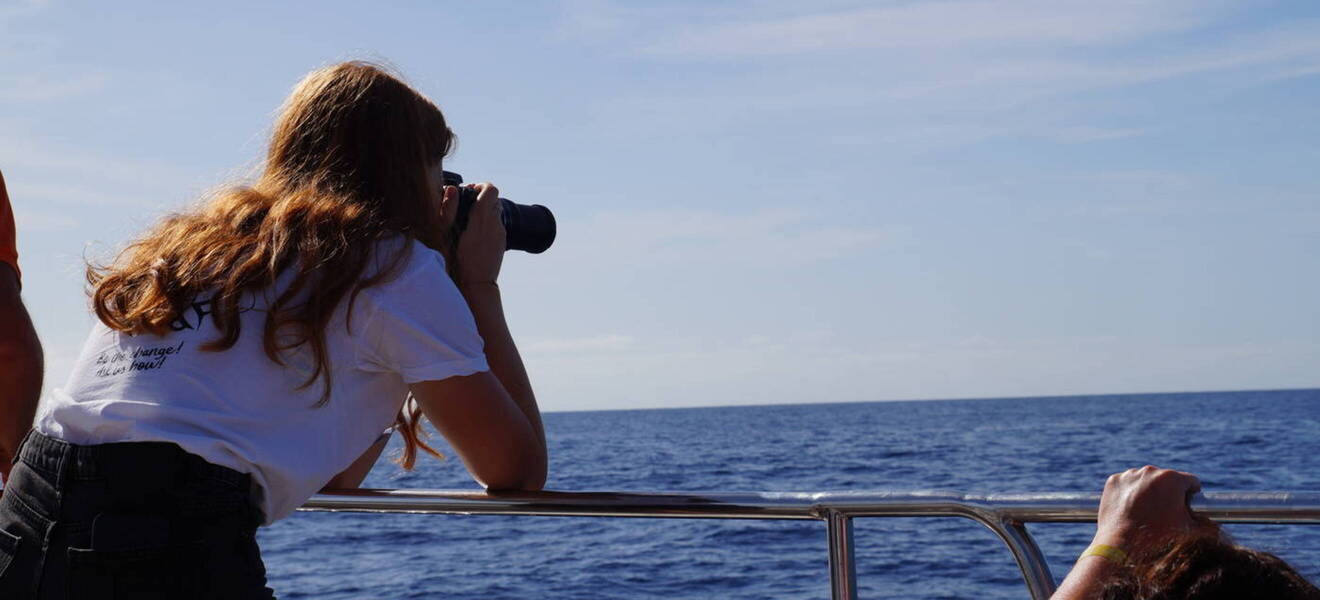 Aufgaben im Delfin- und Walprojekt auf Gran Canaria