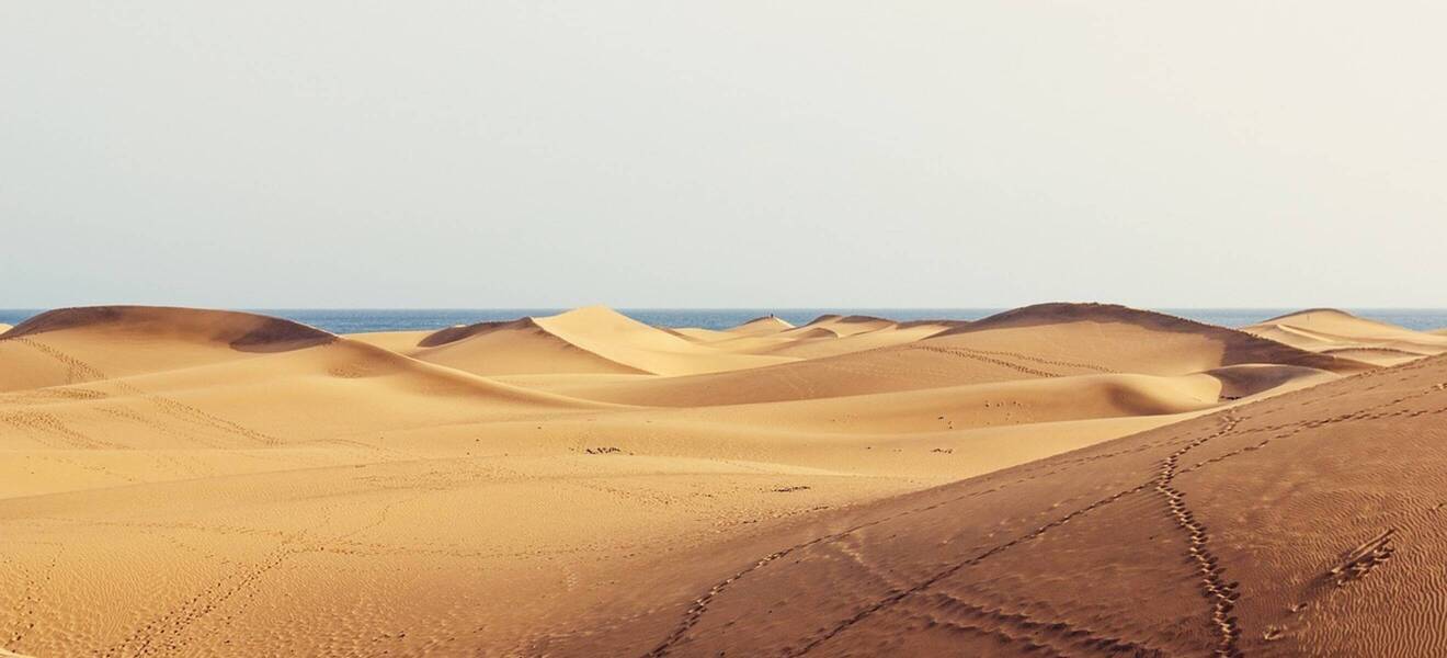 Gran Canaria Dunes