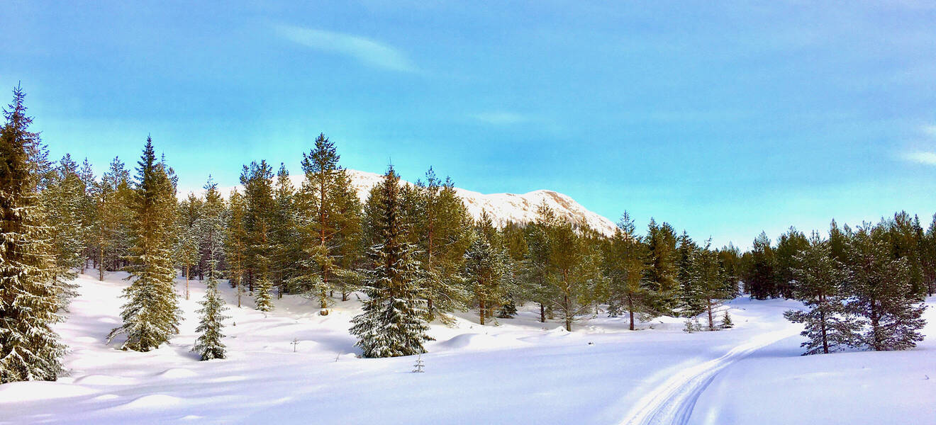 Schneelandschaft in Schweden