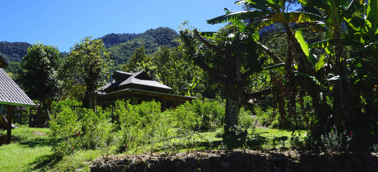 Wanderung durch den Nebelwald
