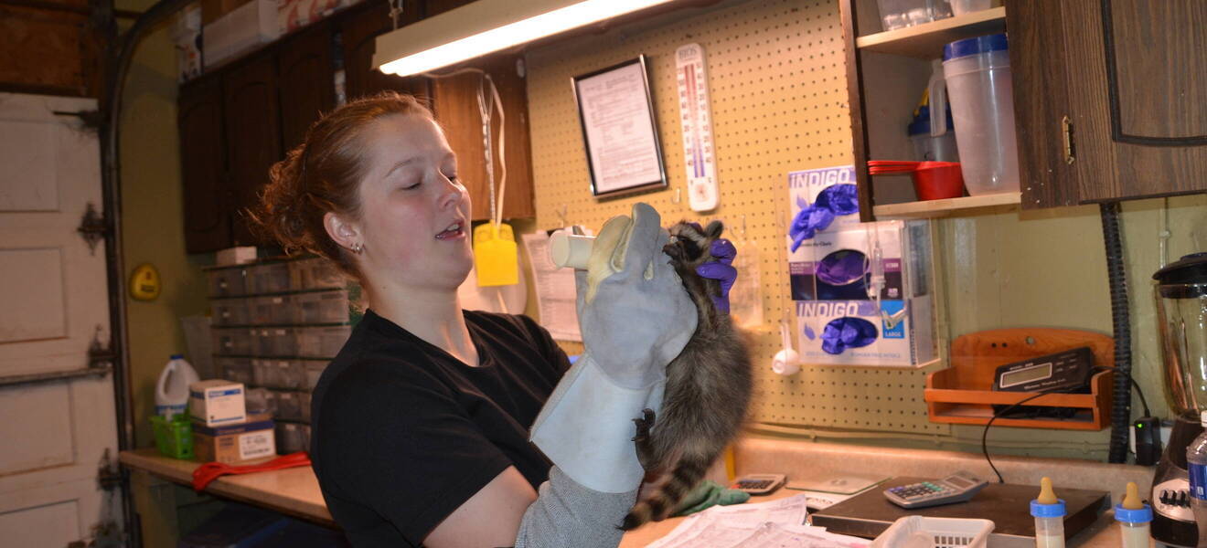 Orientierungsprogramm Projekt Kanada