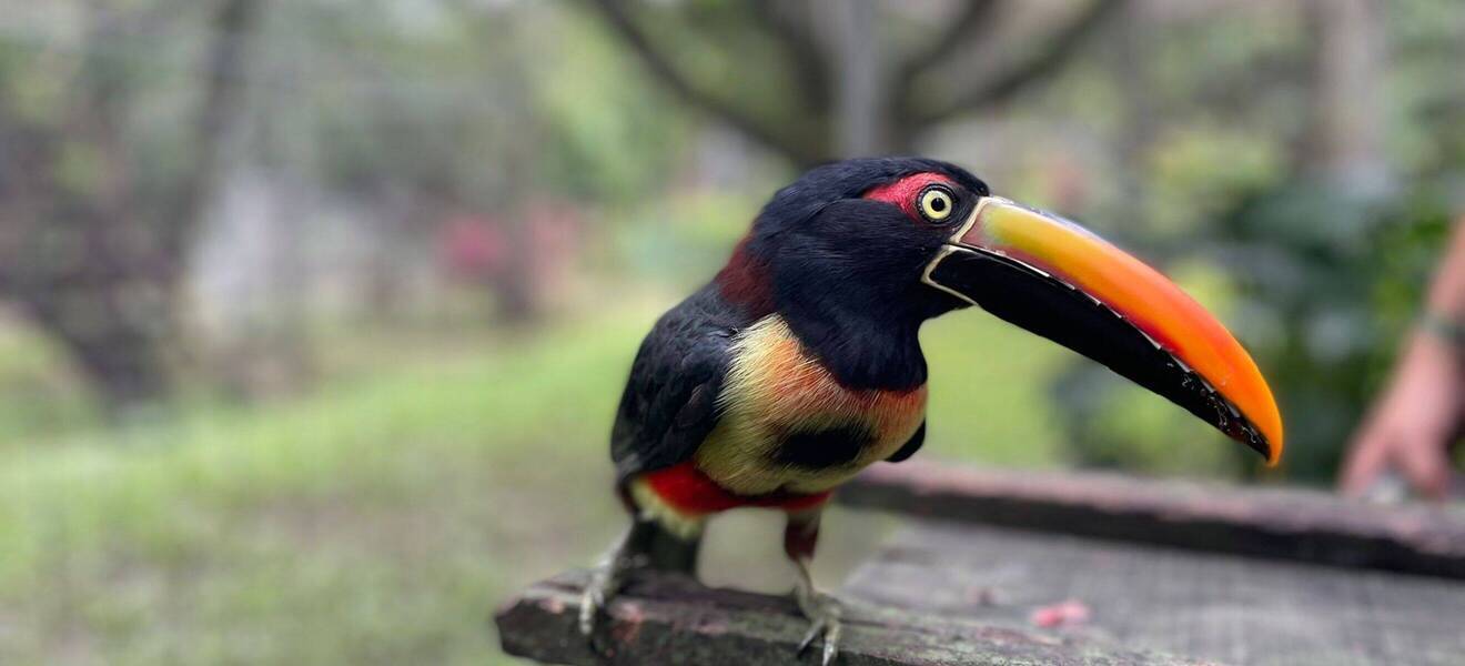 Freiwilligendienst Projekt