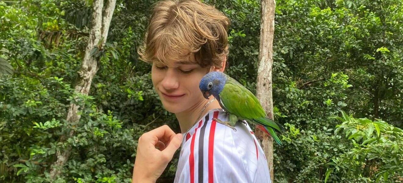 Freiwilligendienst mit Tieren im Ausland