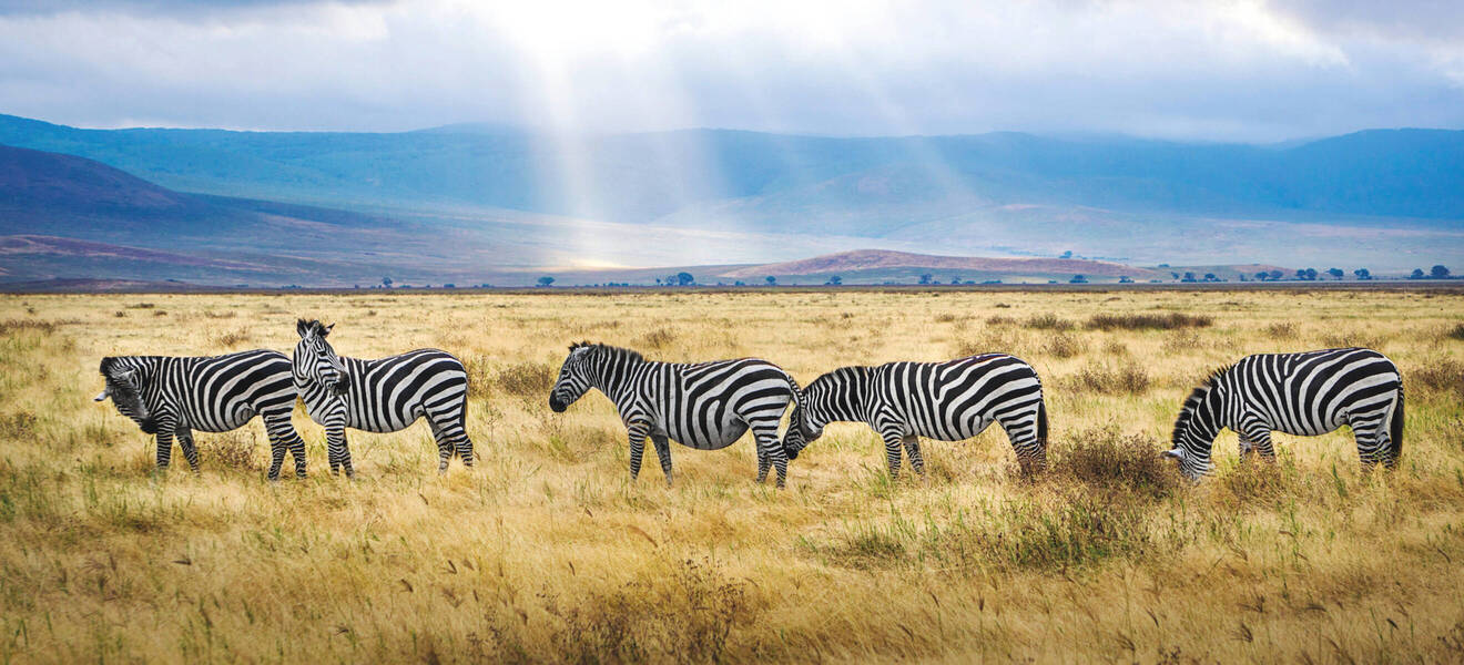 Nationalpark in Afrika