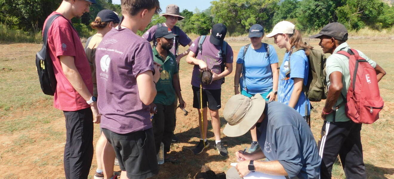 Volunteers sammeln Daten auf Sri Lanka