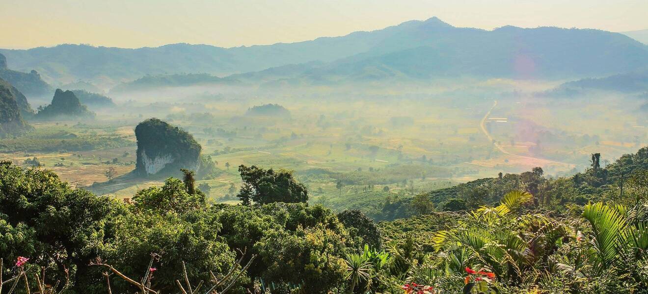 Landschaft mit grünen Feldern in Thailand
