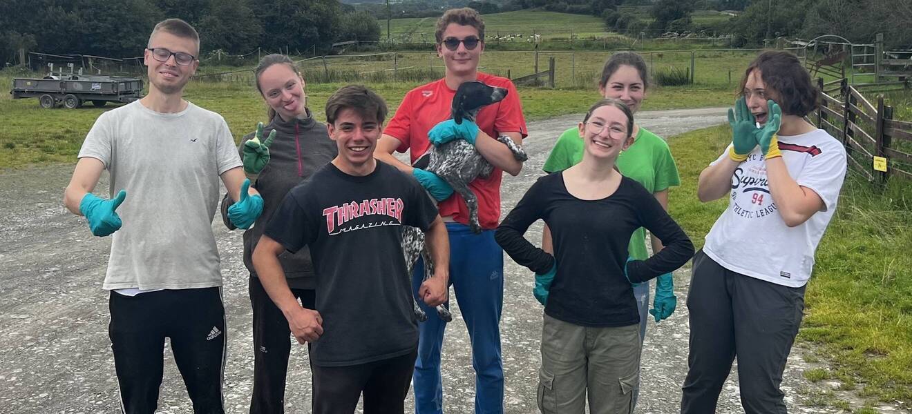 Animal Rescue Projekt im County Kerry