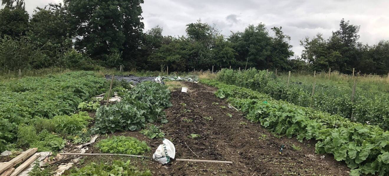 Bio Farm Projekt Irland