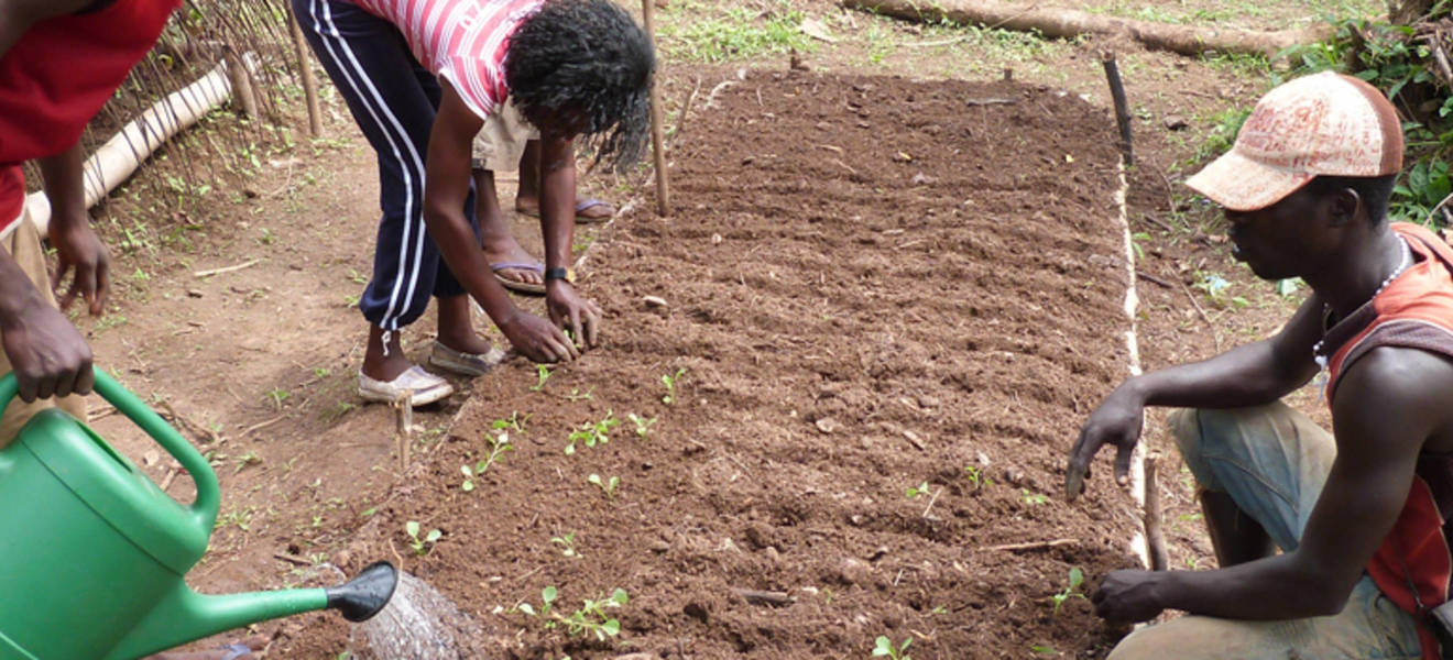 Gartenbau Projekt in Ghana