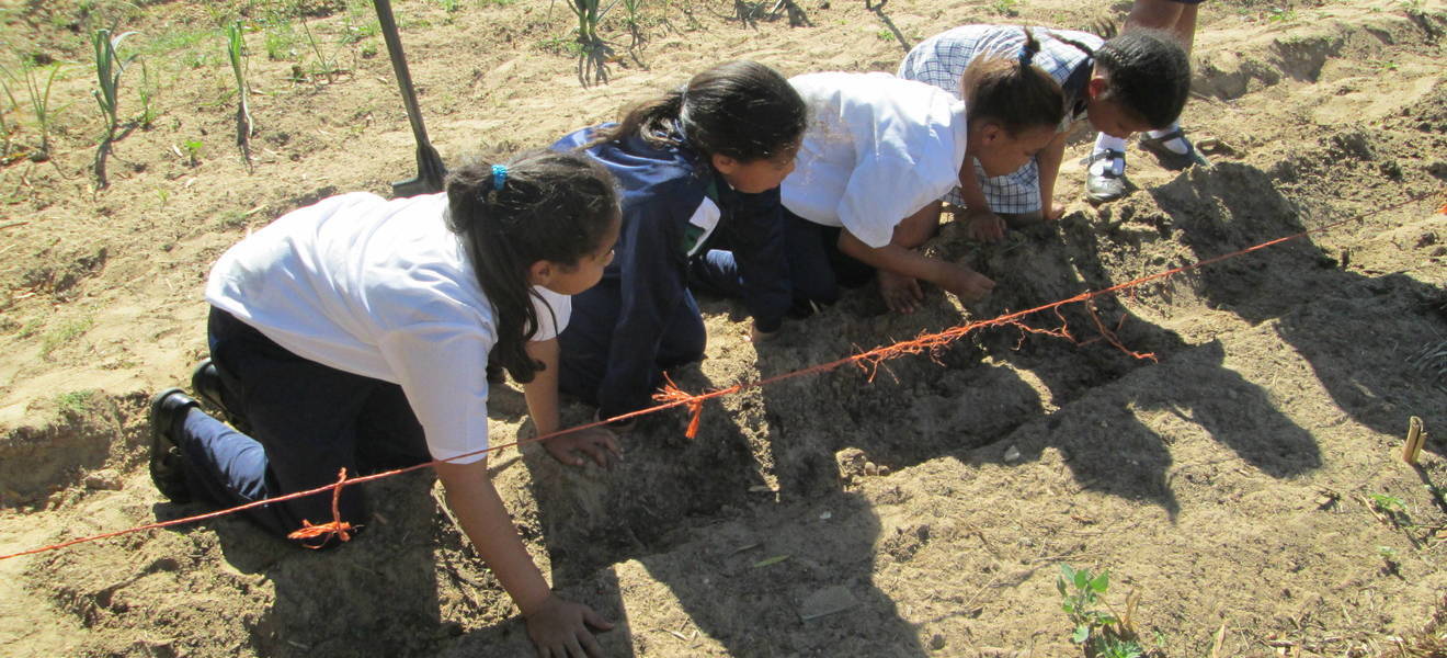 Freiwilligenarbeit auf einer Farm in Südafrika