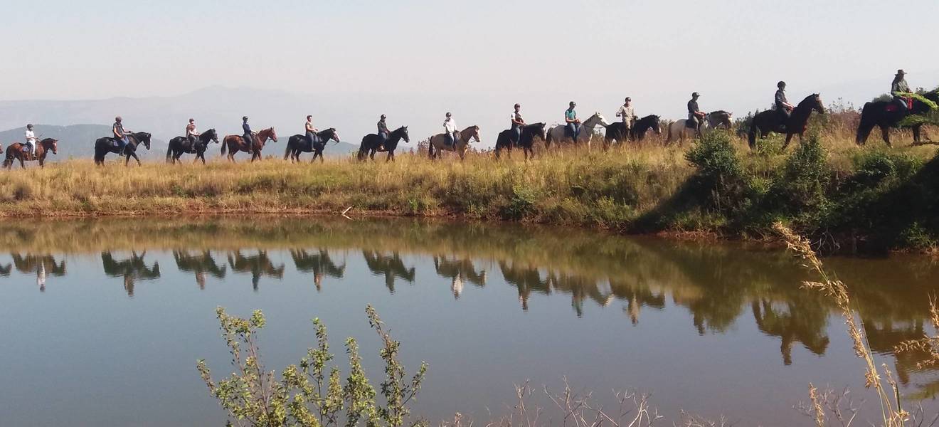 Projekt Pferdefarm Südafrika