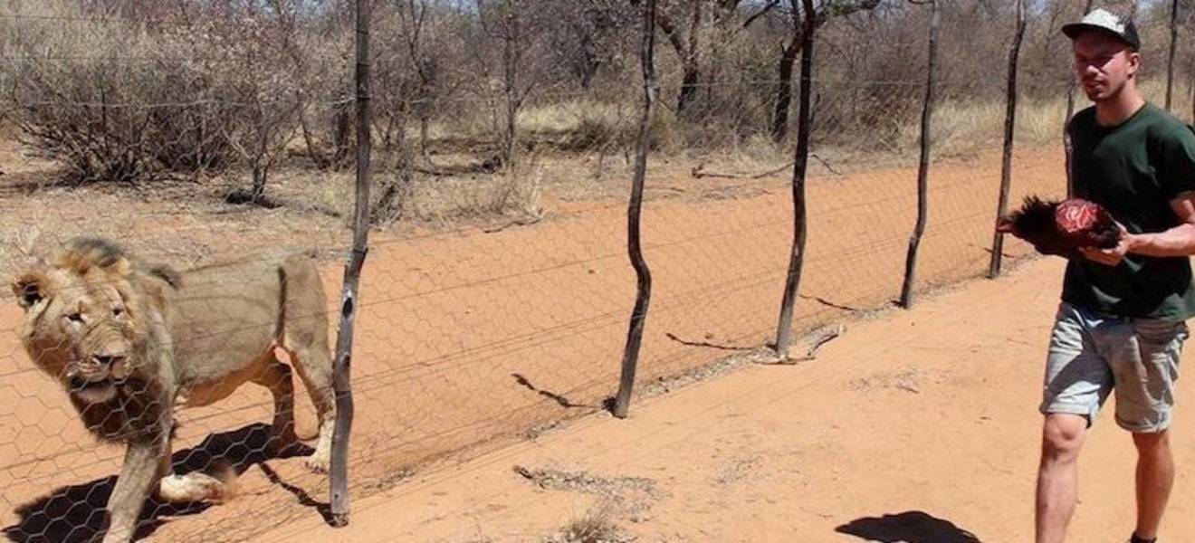 Tierschutz für afrikanische Wildtiere in Namibia