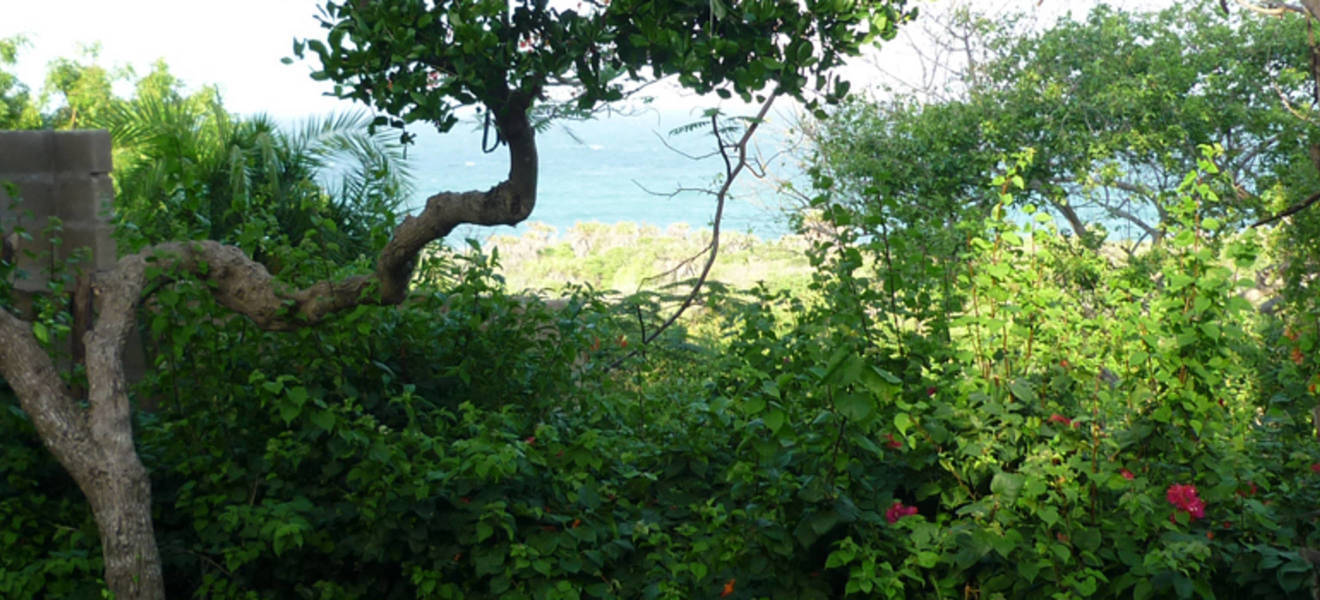 Pferdeprojekt Tansania