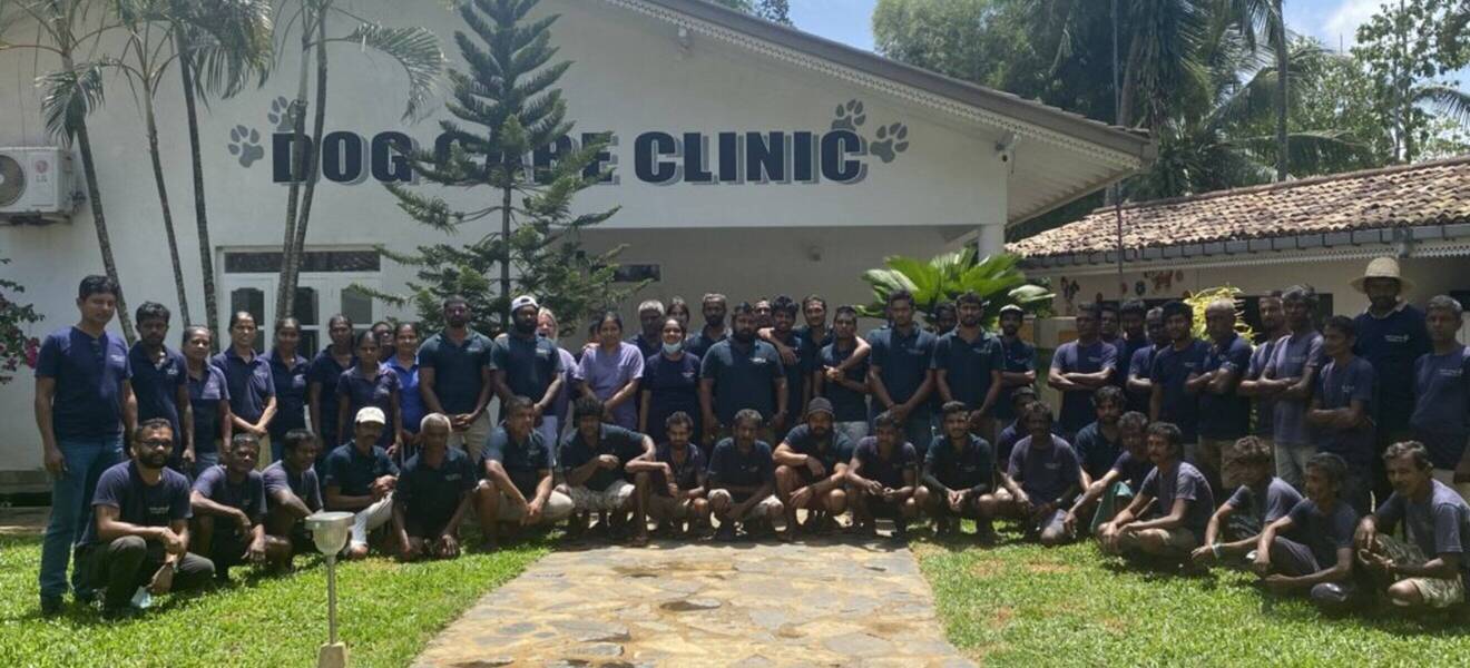 Freiwilligenarbeit im Strassenhunde Projekt in Sri Lanka