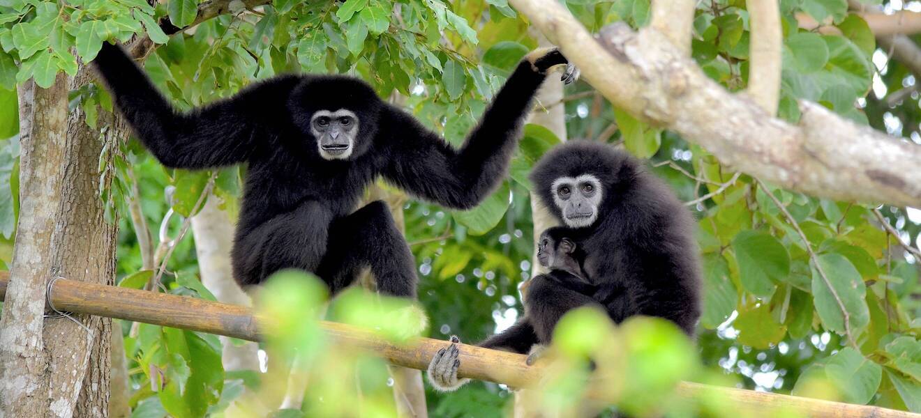 Freiwilligenarbeit im Wildtierschutz