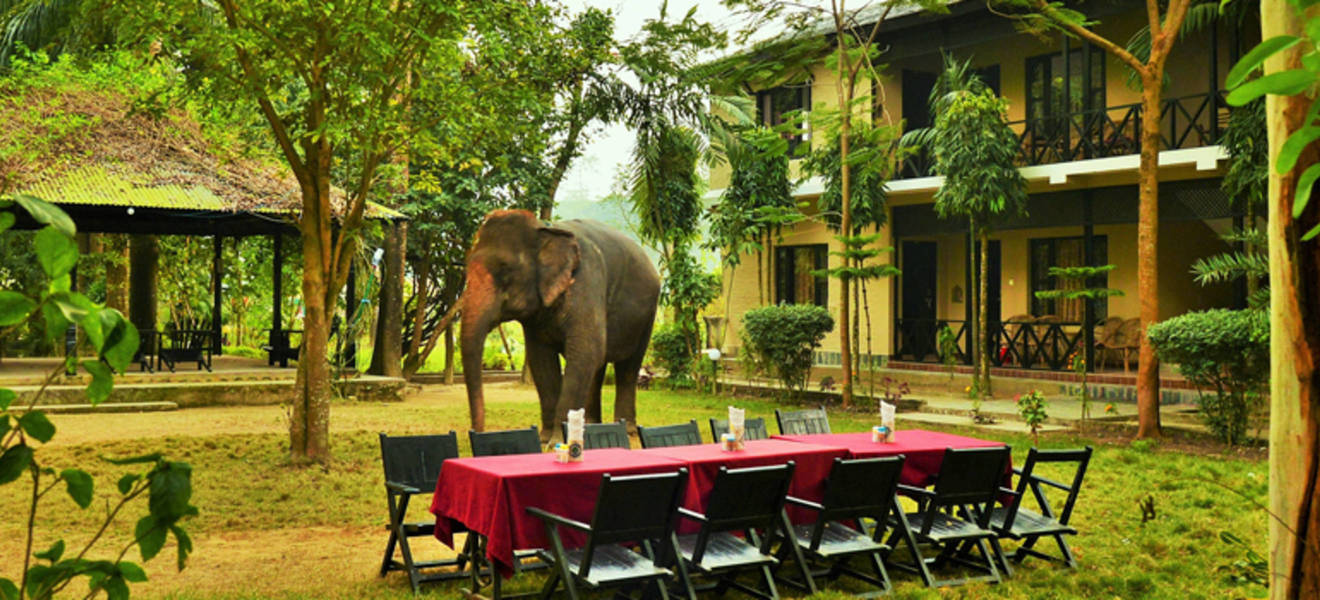 Kathmandu, Chitwan und Pokhara