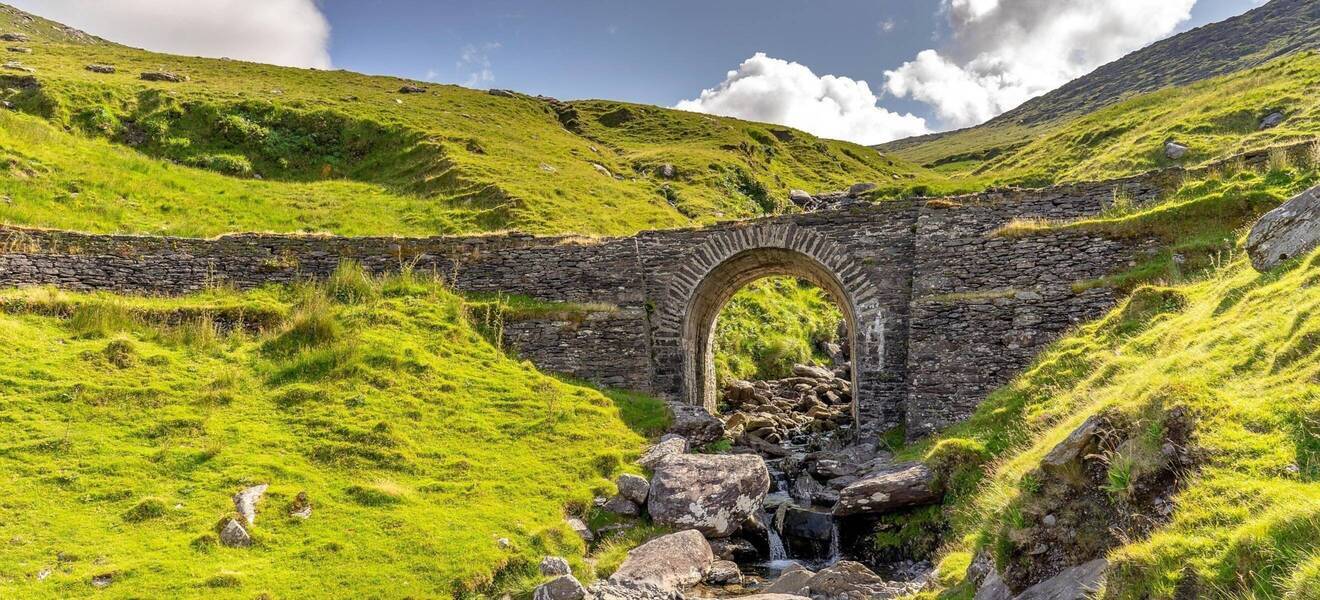 Irland ist für dich, wenn du...