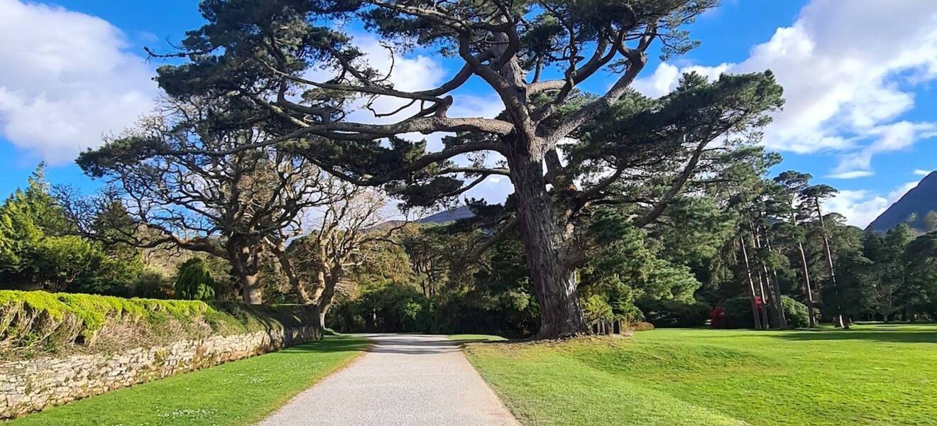 Land und Leute in Irland