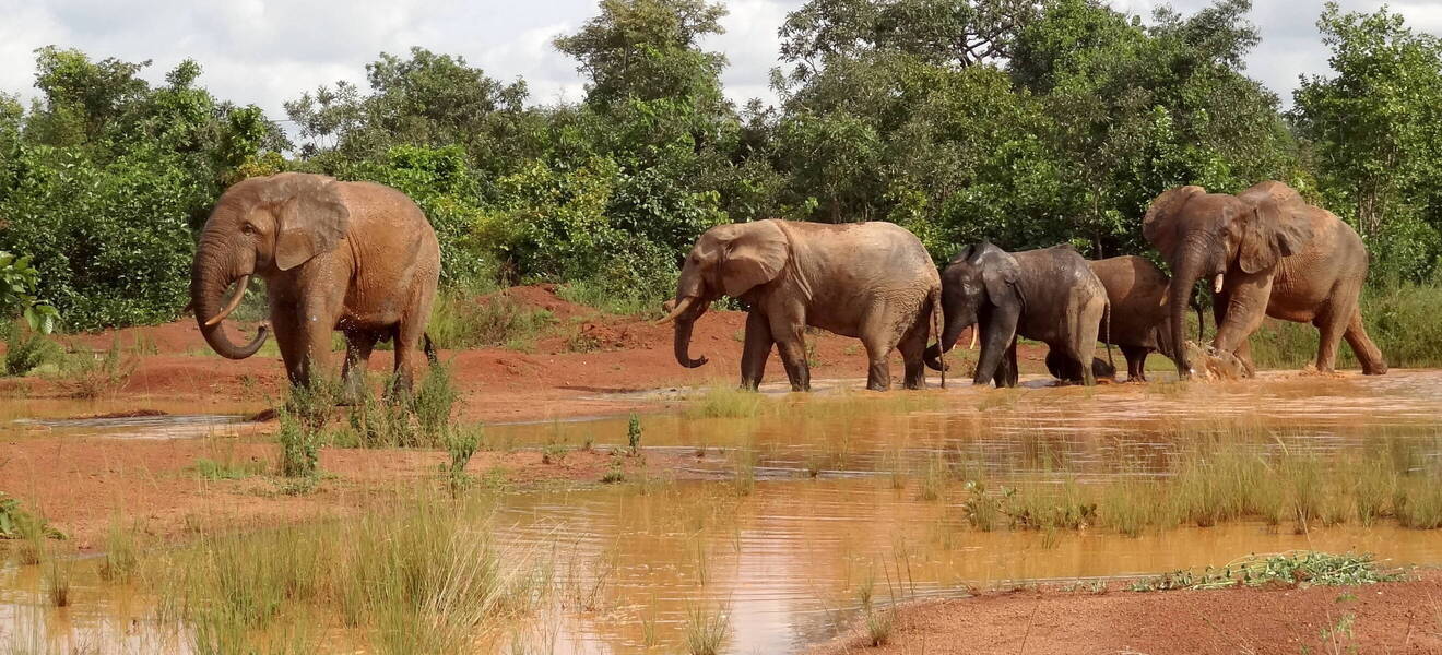 Ghana ist für dich, wenn du...