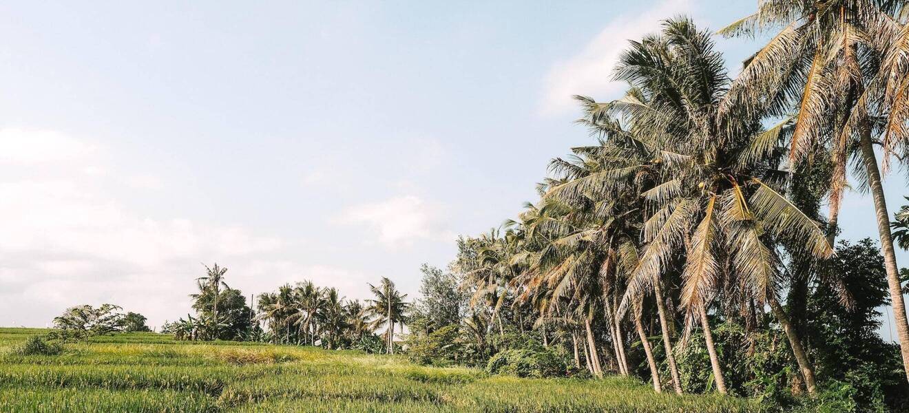 Freiwilligenarbeit auf Bali