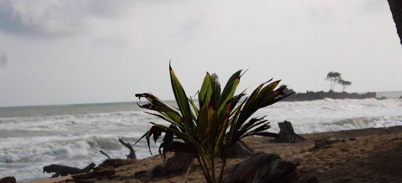 Umweltschutz am Strand