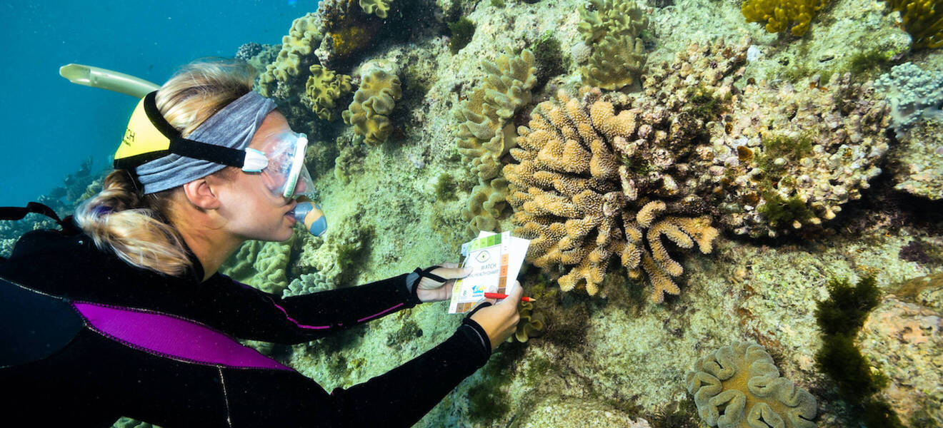 Tauchen in Australien