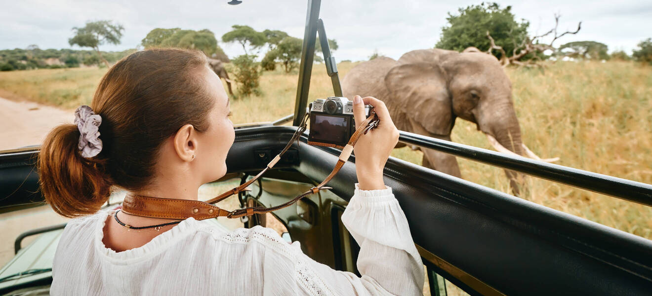 Safari in Tansania Elefanten