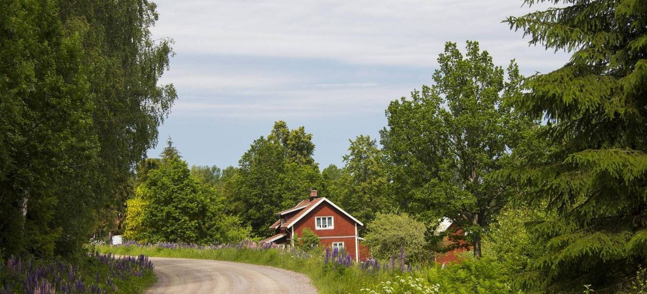 Schwedisches Haus im Grünen