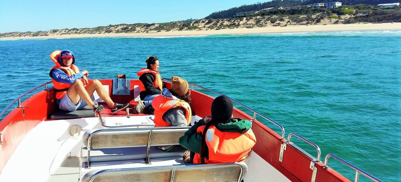 Freiwillige beim Volunteering in Südafrika