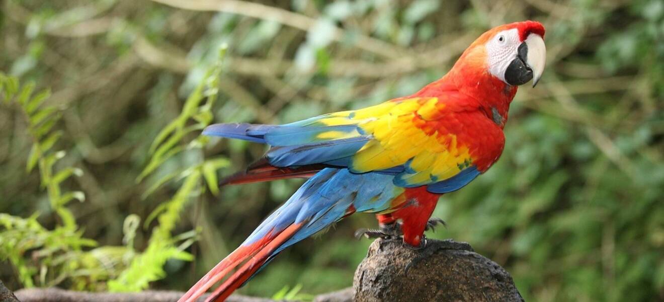 Reisetipps auf Hawaii