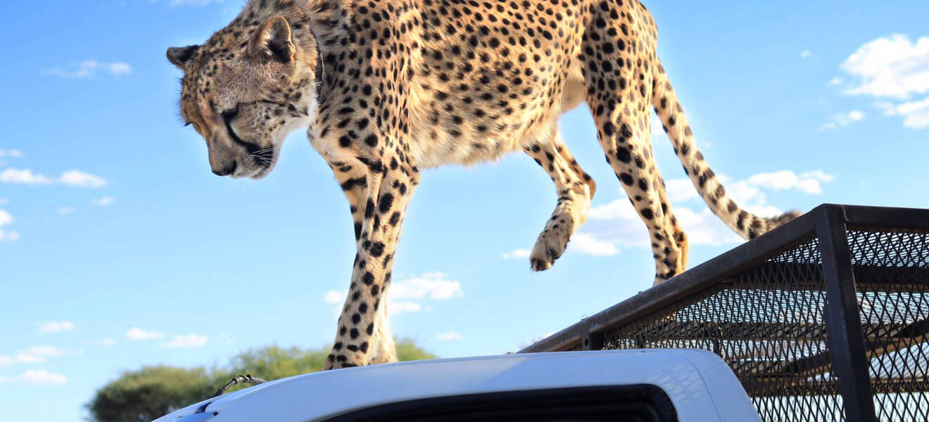 Namibia in a Nutshell